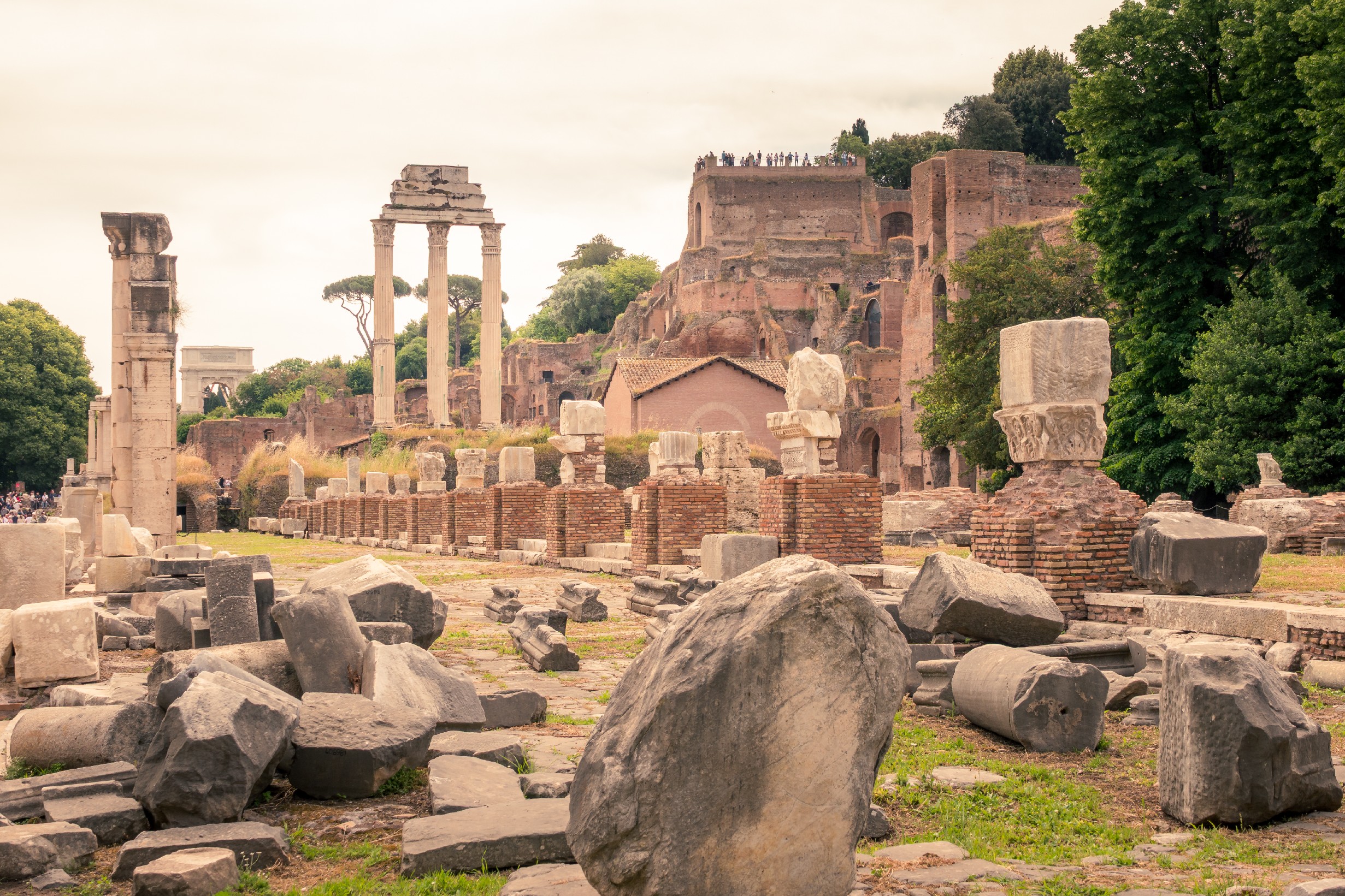 20250509 Rome Forum Romana 010